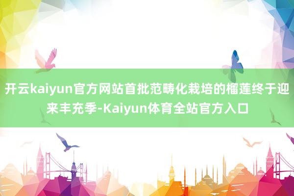 开云kaiyun官方网站首批范畴化栽培的榴莲终于迎来丰充季-Kaiyun体育全站官方入口
