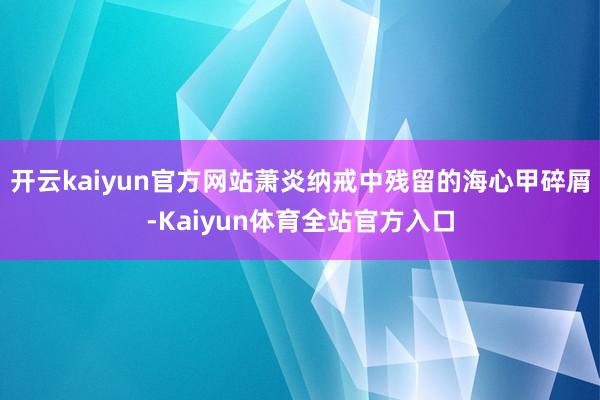 开云kaiyun官方网站萧炎纳戒中残留的海心甲碎屑-Kaiyun体育全站官方入口
