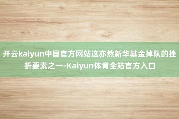 开云kaiyun中国官方网站这亦然新华基金掉队的挫折要素之一-Kaiyun体育全站官方入口