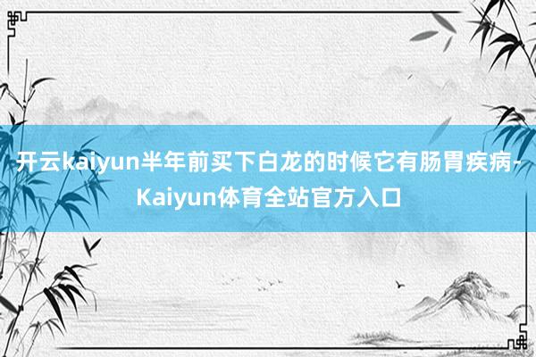 开云kaiyun半年前买下白龙的时候它有肠胃疾病-Kaiyun体育全站官方入口