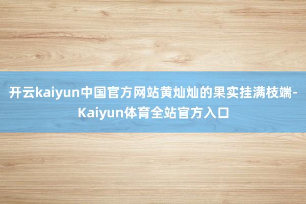 开云kaiyun中国官方网站黄灿灿的果实挂满枝端-Kaiyun体育全站官方入口