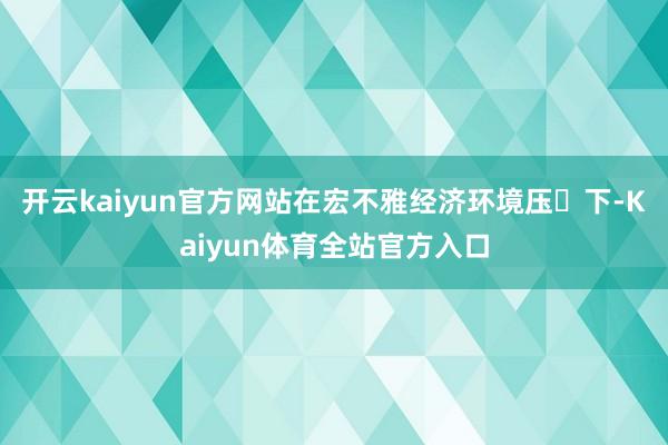 开云kaiyun官方网站在宏不雅经济环境压⼒下-Kaiyun体育全站官方入口